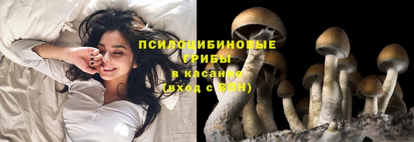 мдма Верхний Тагил