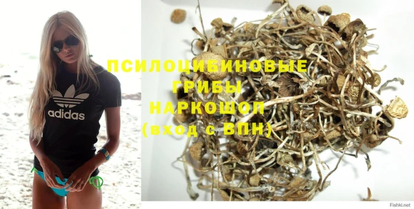 дживик Сафоново