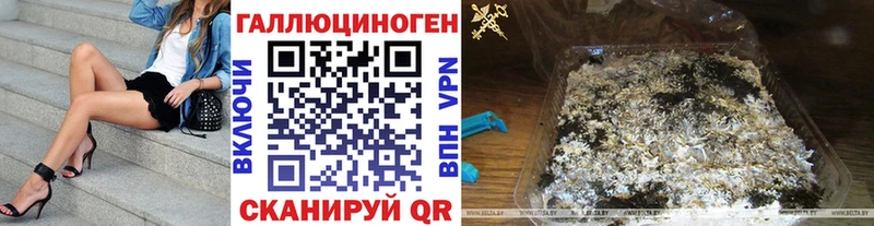 Купить закладки  Гай  Галлюциногенные грибы мицелий 